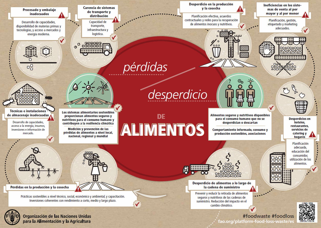 Infografía de la FAO para exponer el origen de la pérdida y desperdicio de alimentos. Infografía de la FAO para exponer el origen de la pérdida y desperdicio de alimentos.