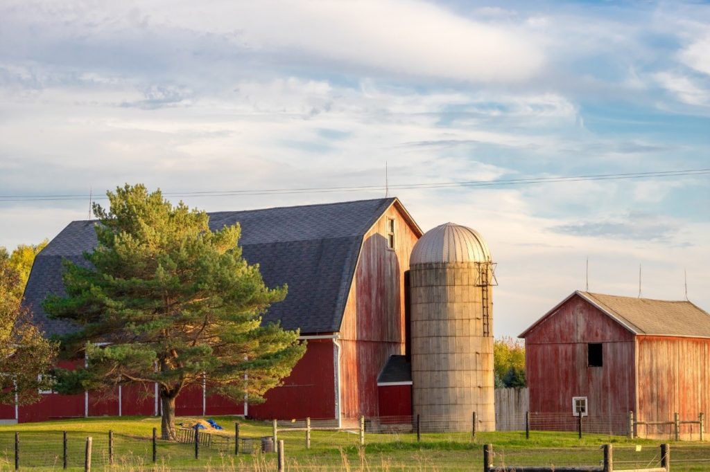 Granja con silo en USA. Foto de Renee Gaudet, Pixabay Granja con silo en USA. Foto de Renee Gaudet, Pixabay