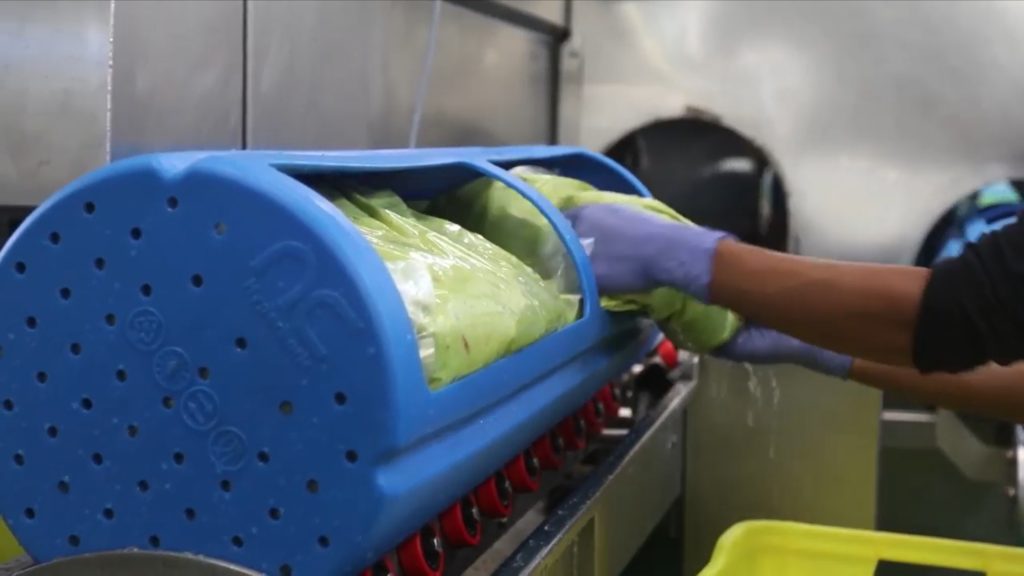 Avocado products after the high pressure processing in Hiperbaric equipment. Avocado products after the high pressure processing in Hiperbaric equipment.